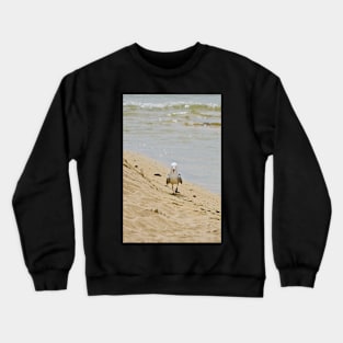 Taking a stroll on the beach Crewneck Sweatshirt